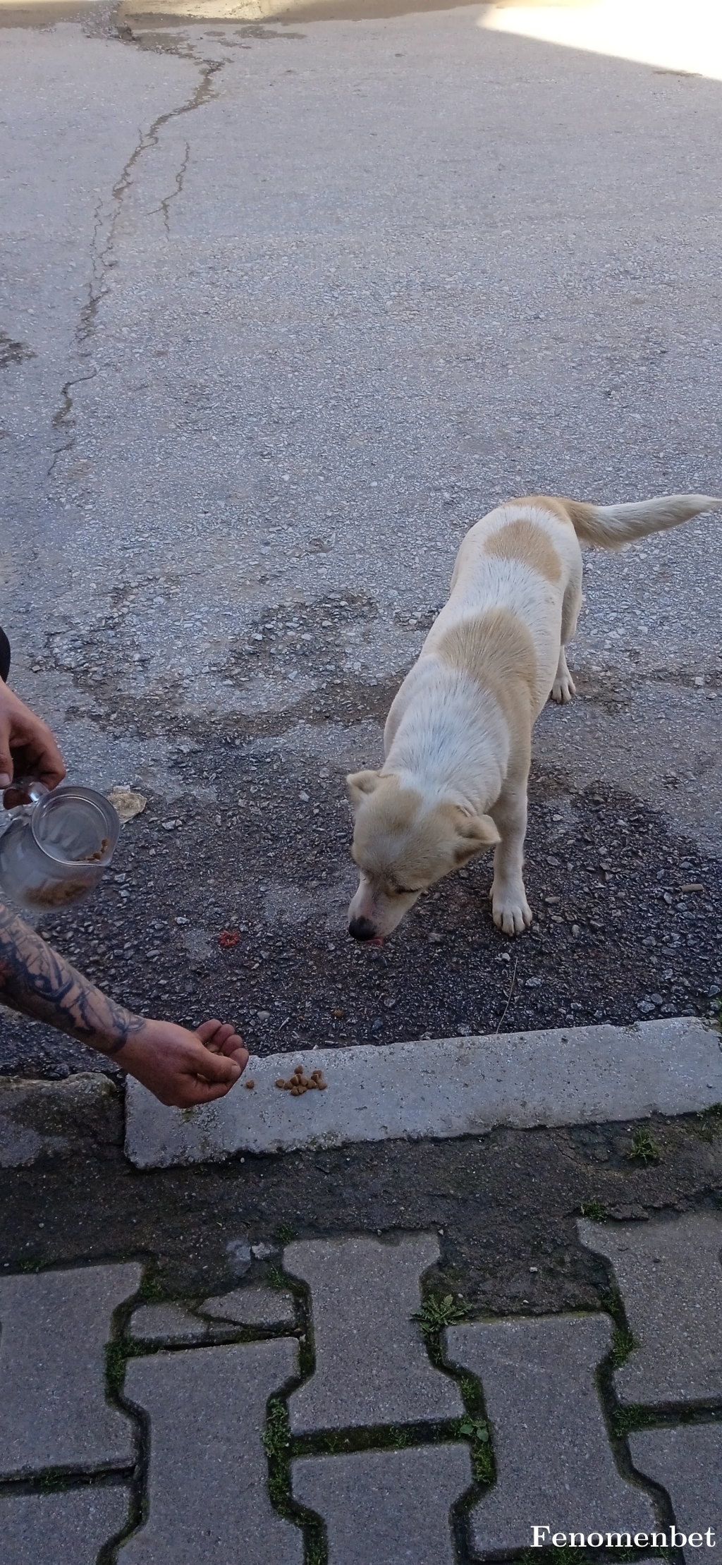 Ozkan1982 tarafından paylaşıldı