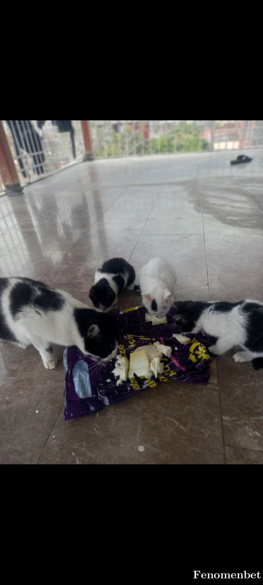 Hamdu1212 tarafından paylaşıldı