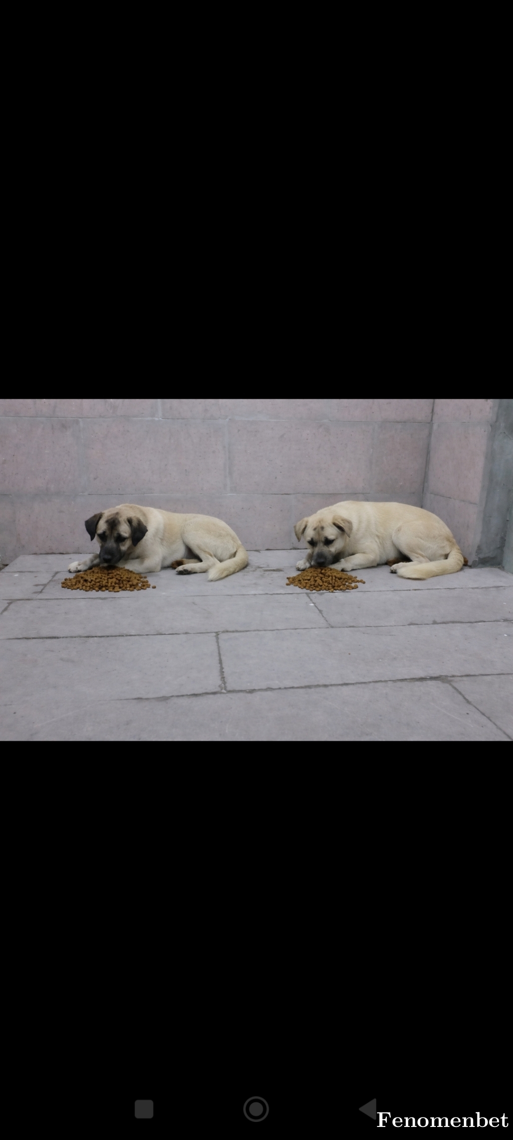 Ordulu5252 tarafından paylaşıldı