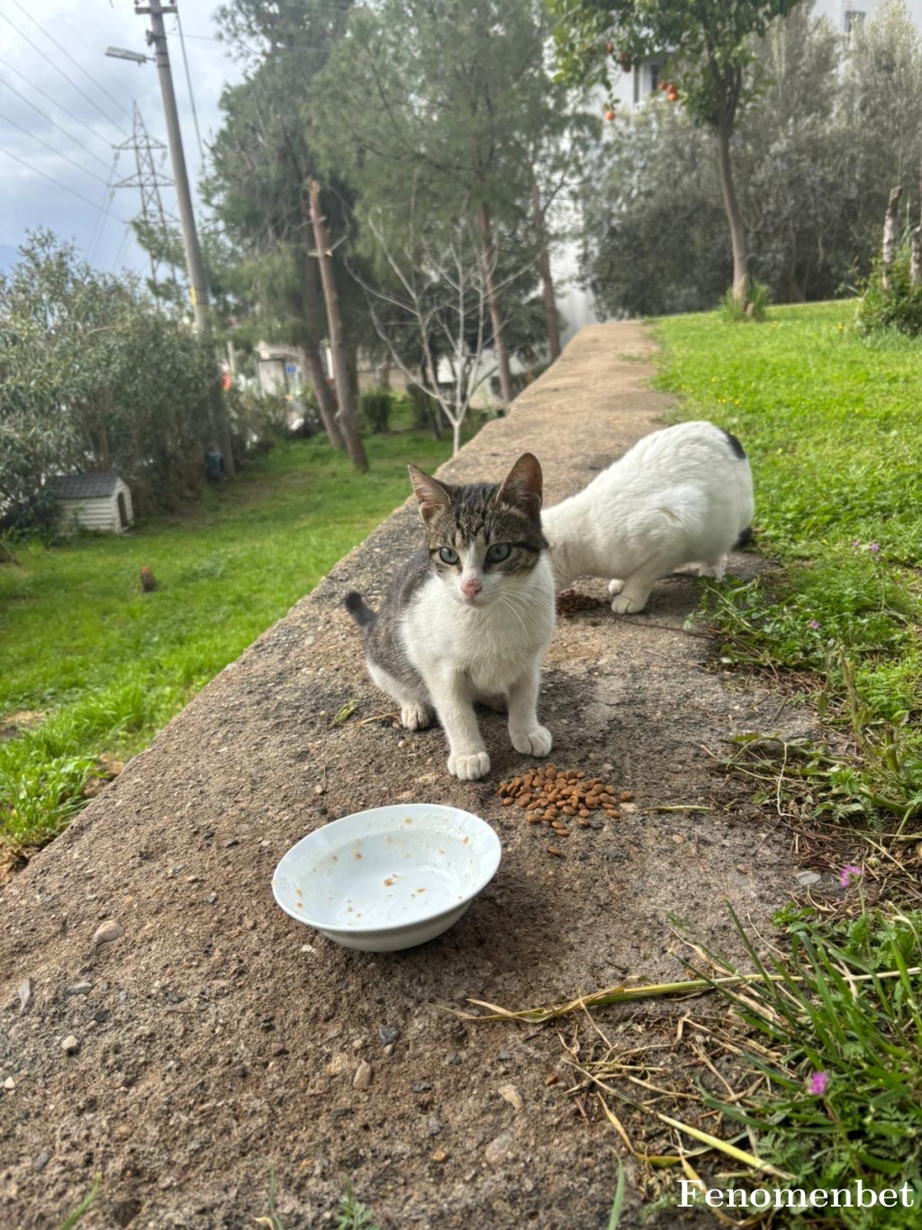 Bacidestroyer tarafından paylaşıldı