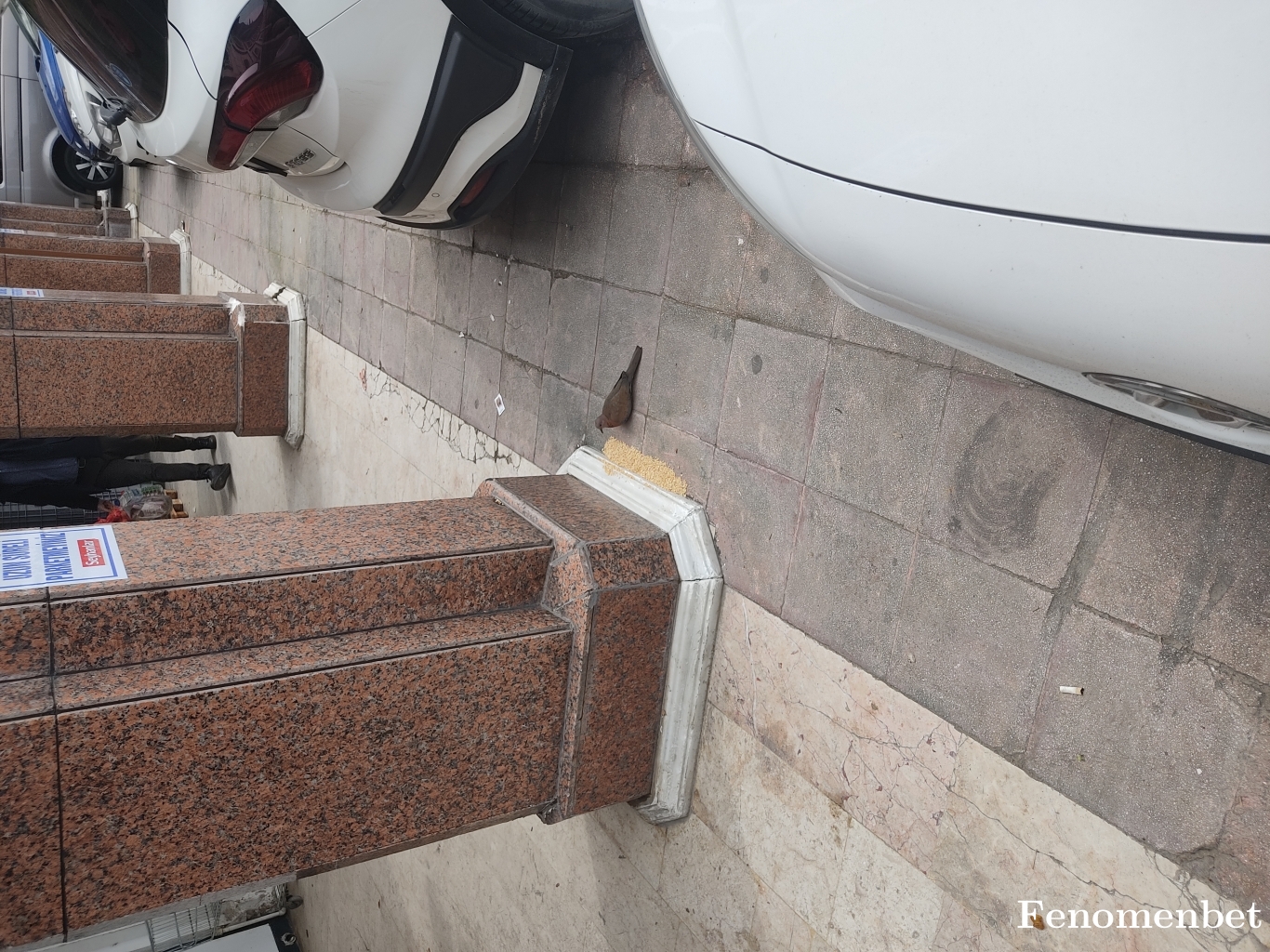 SONSUZZZ tarafından paylaşıldı