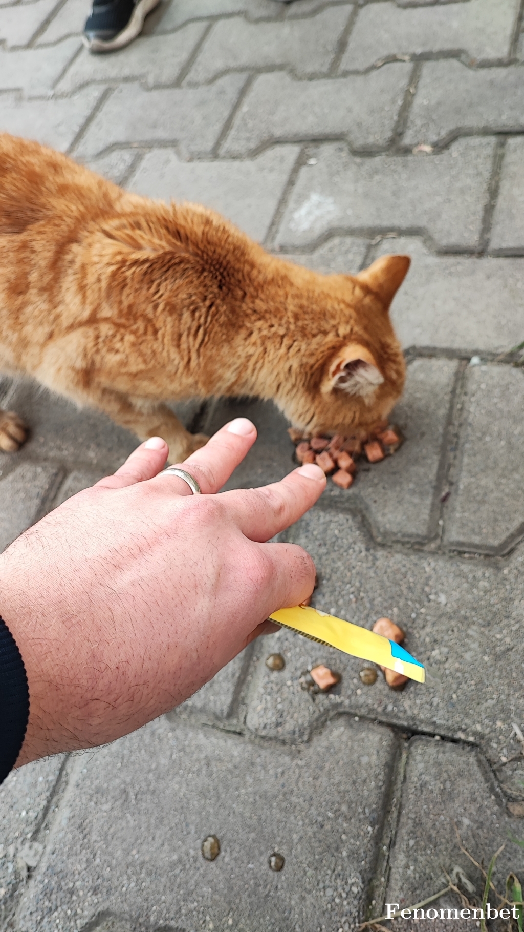 Jasius1 tarafından paylaşıldı