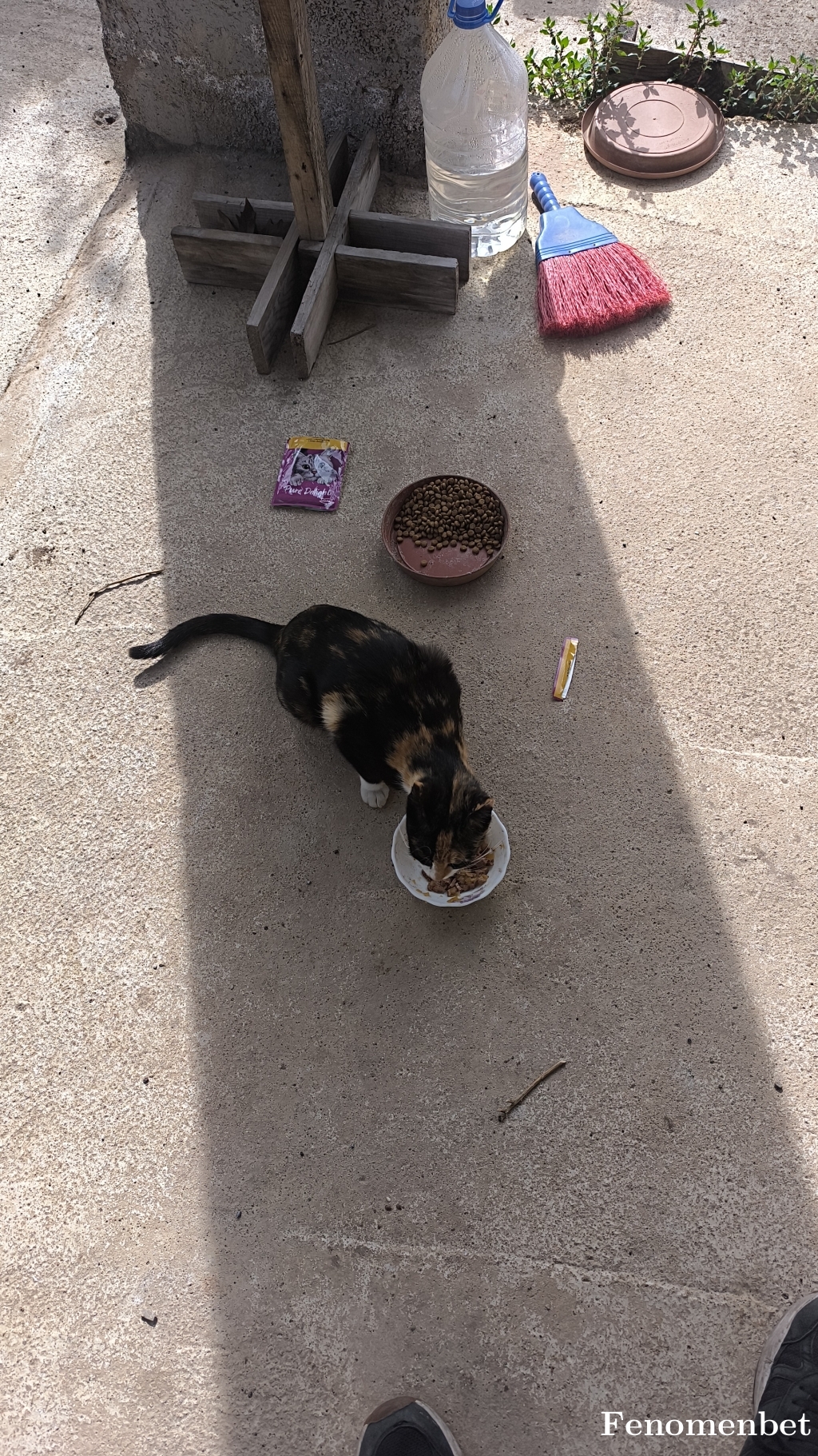 Kakaletaa tarafından paylaşıldı