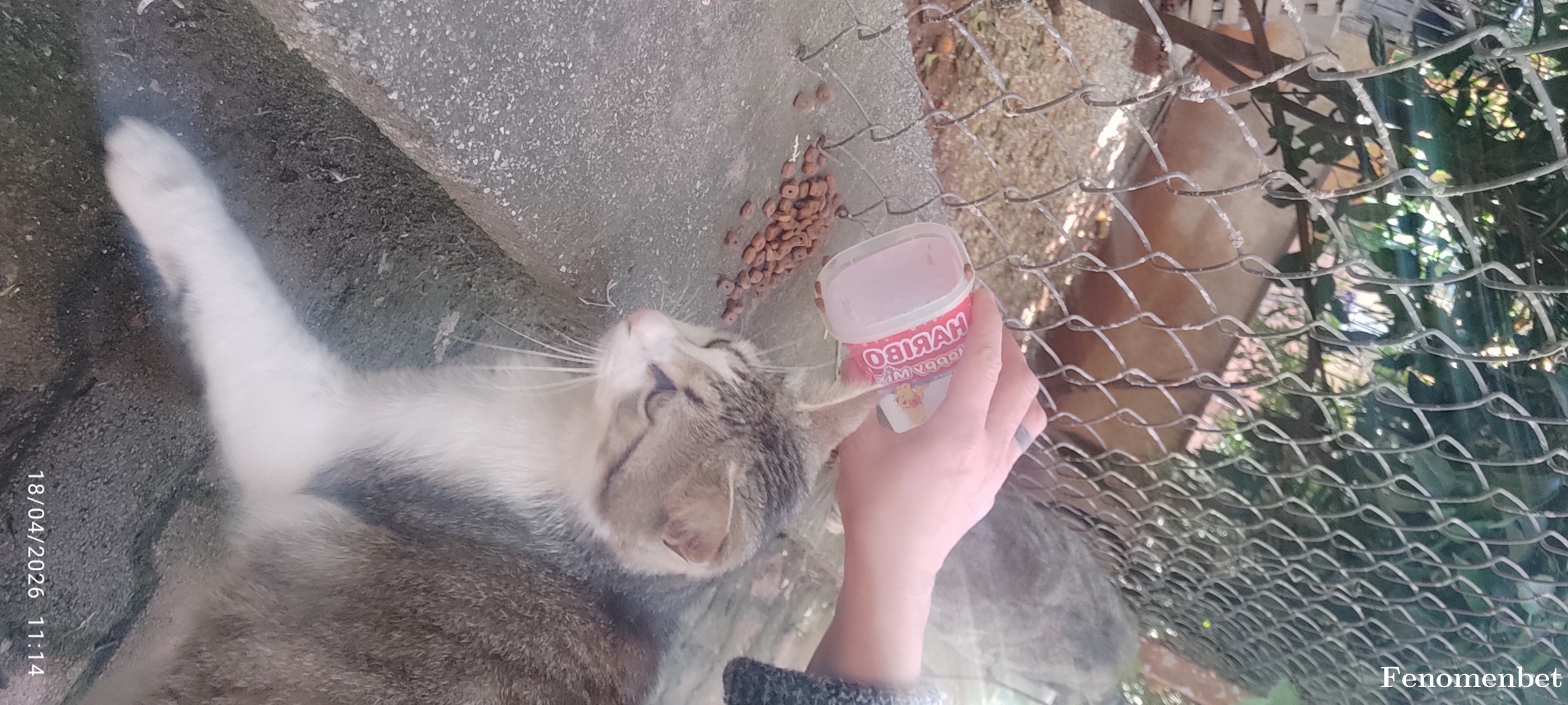 Cilek007 tarafından paylaşıldı