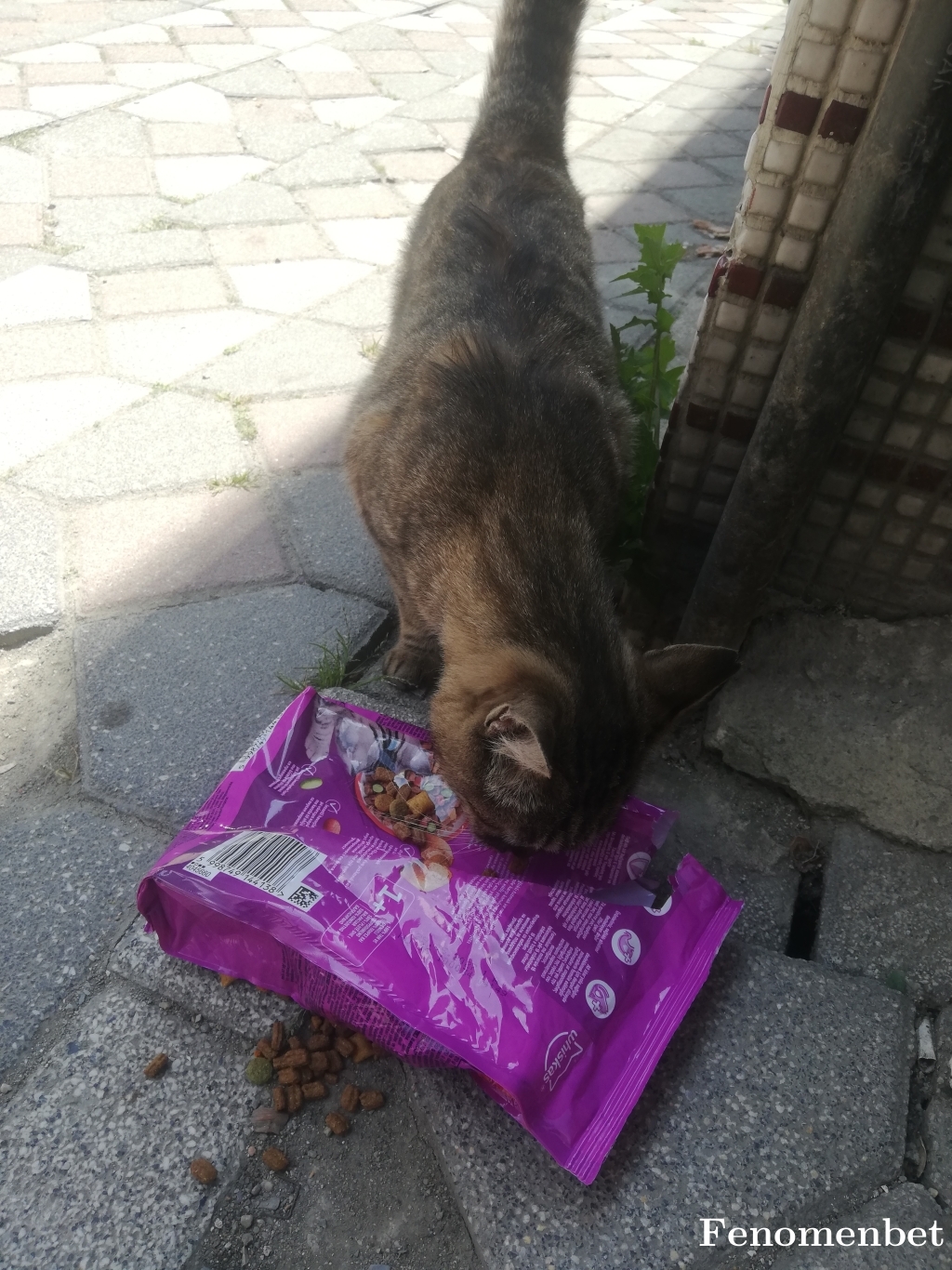 oknylmzzx tarafından paylaşıldı