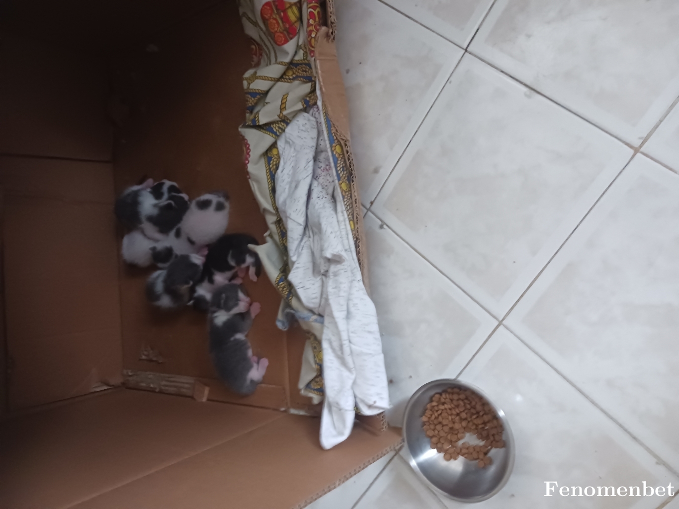 Kehribar7  tarafından paylaşıldı