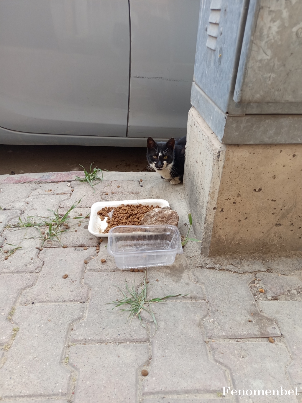 apogkmn07 tarafından paylaşıldı