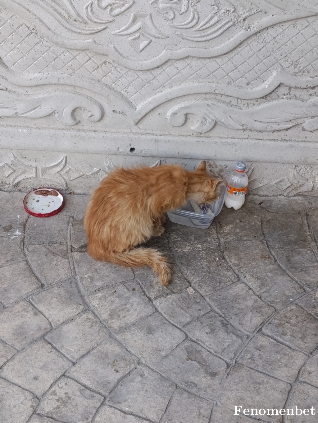Waveeya1 tarafından paylaşıldı