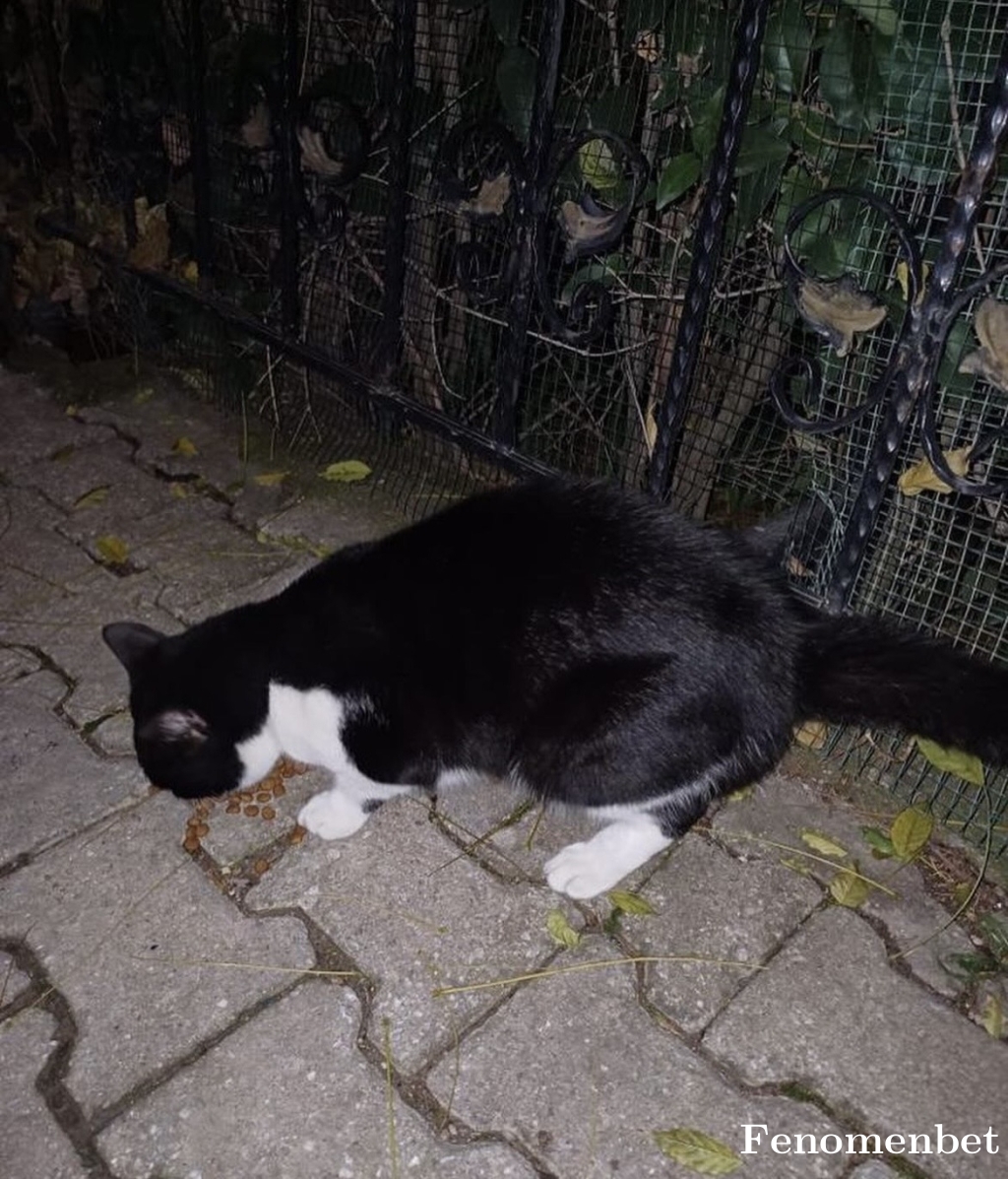 Bedirhancprz tarafından paylaşıldı
