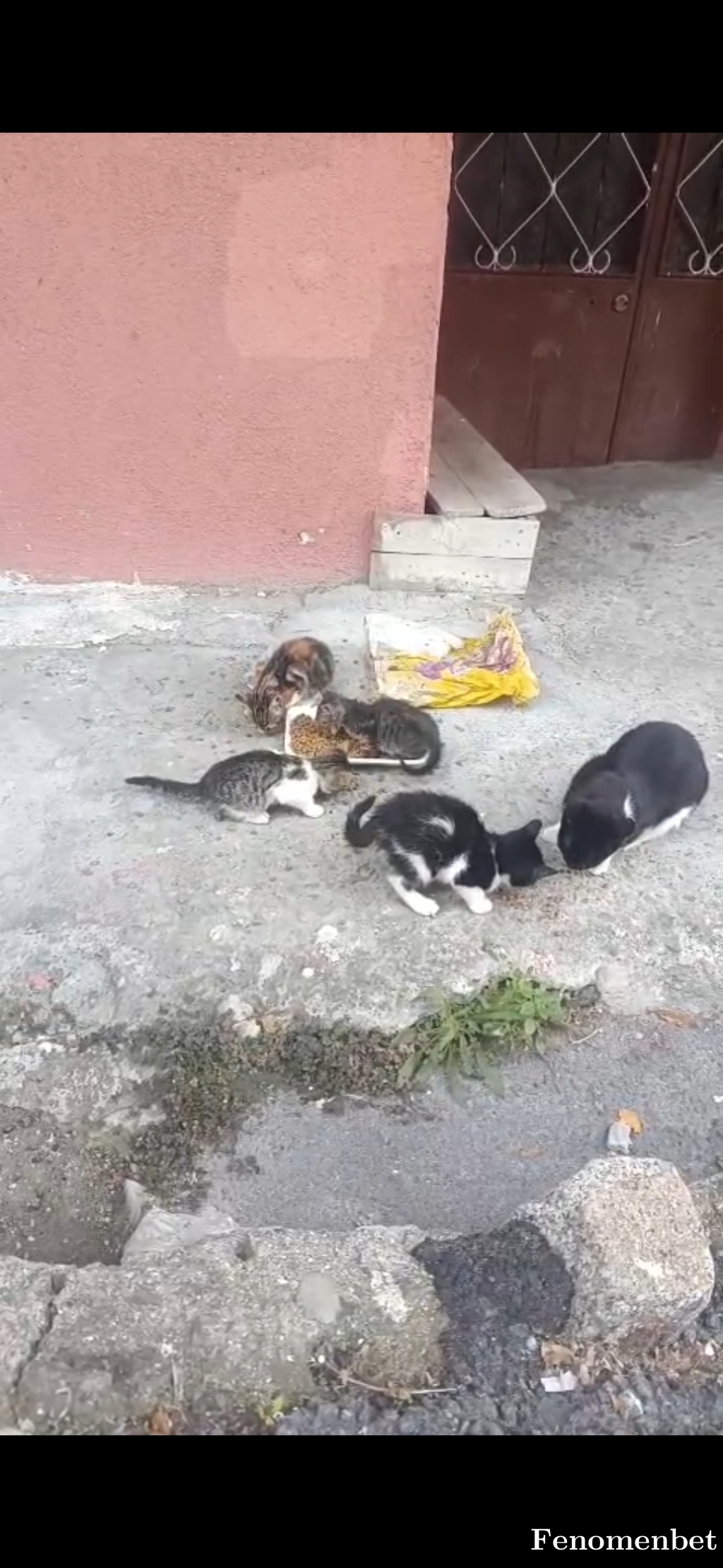 Derya1818 tarafından paylaşıldı