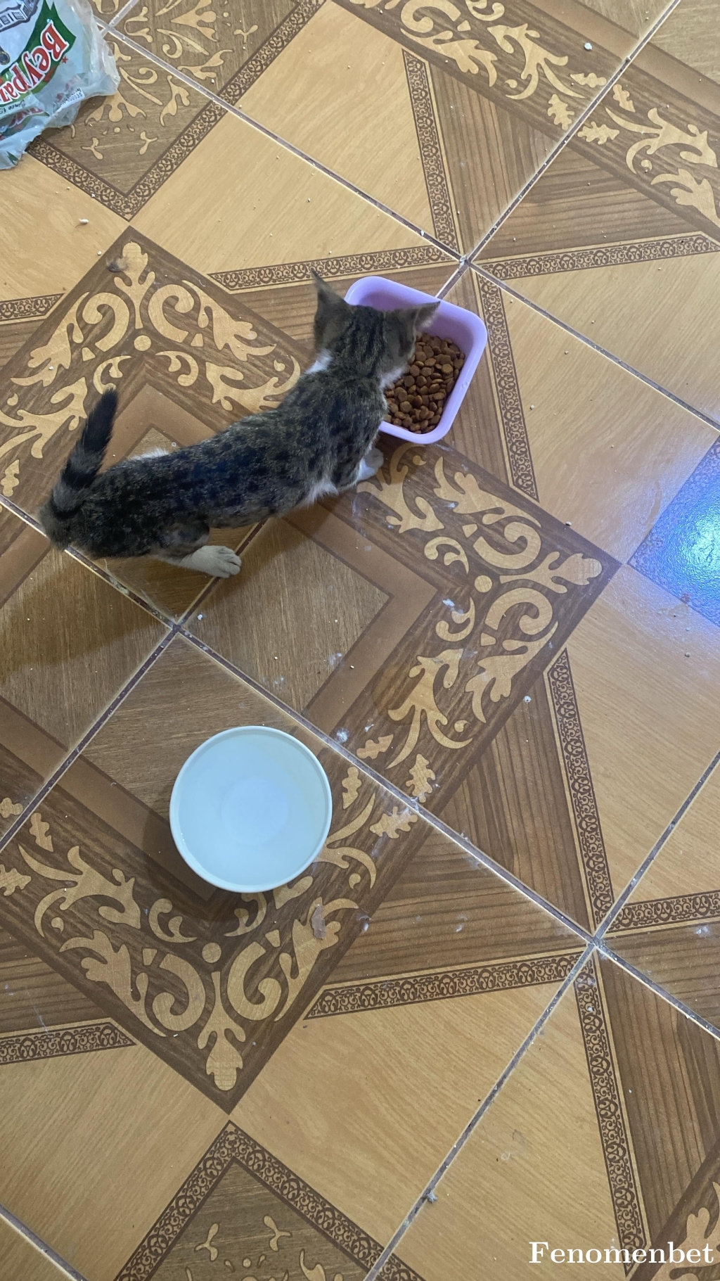 Mavzer0 tarafından paylaşıldı