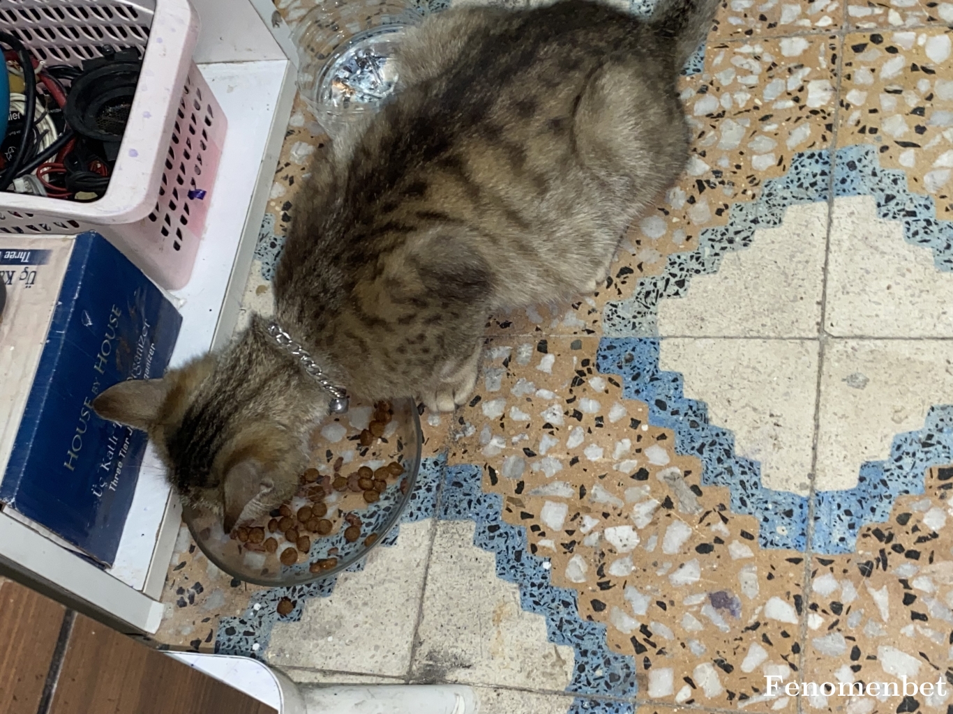 Tefobabaa tarafından paylaşıldı