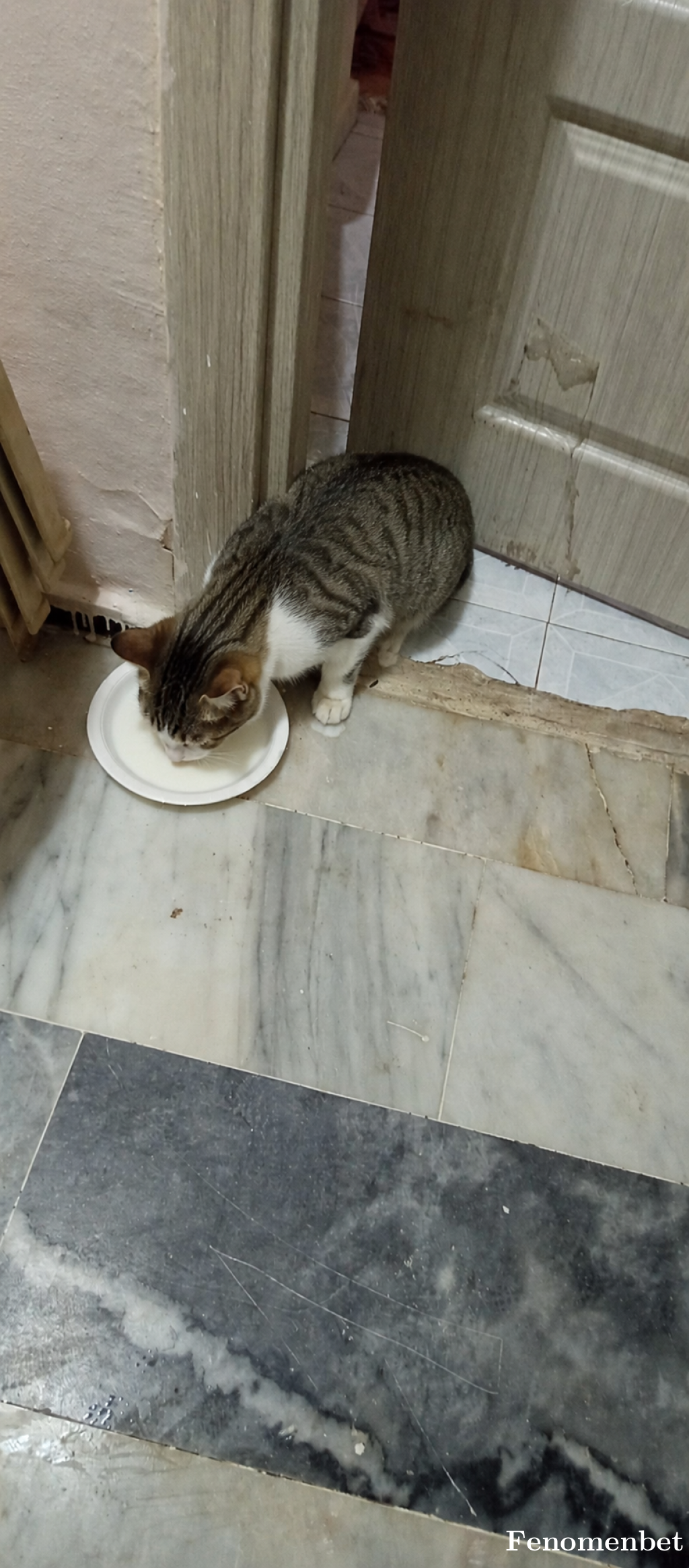Ahmetela27  tarafından paylaşıldı