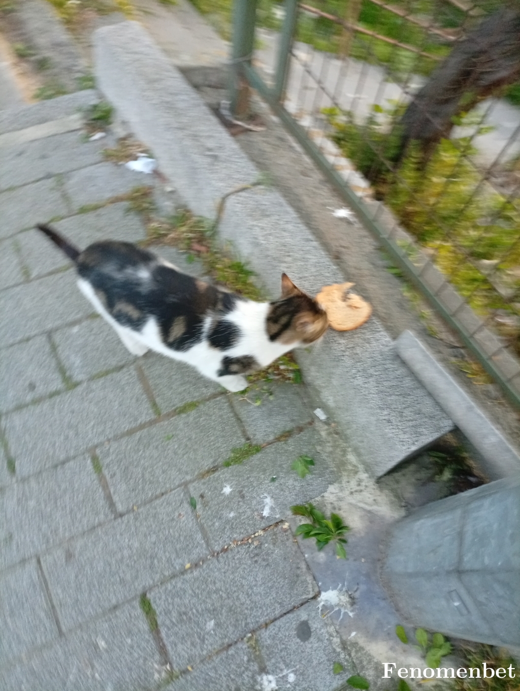 Ugo58 tarafından paylaşıldı