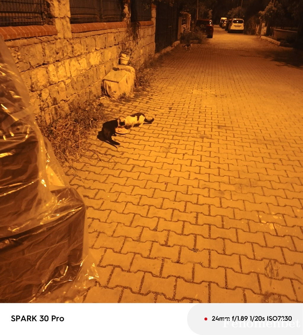 Serhat3561 tarafından paylaşıldı