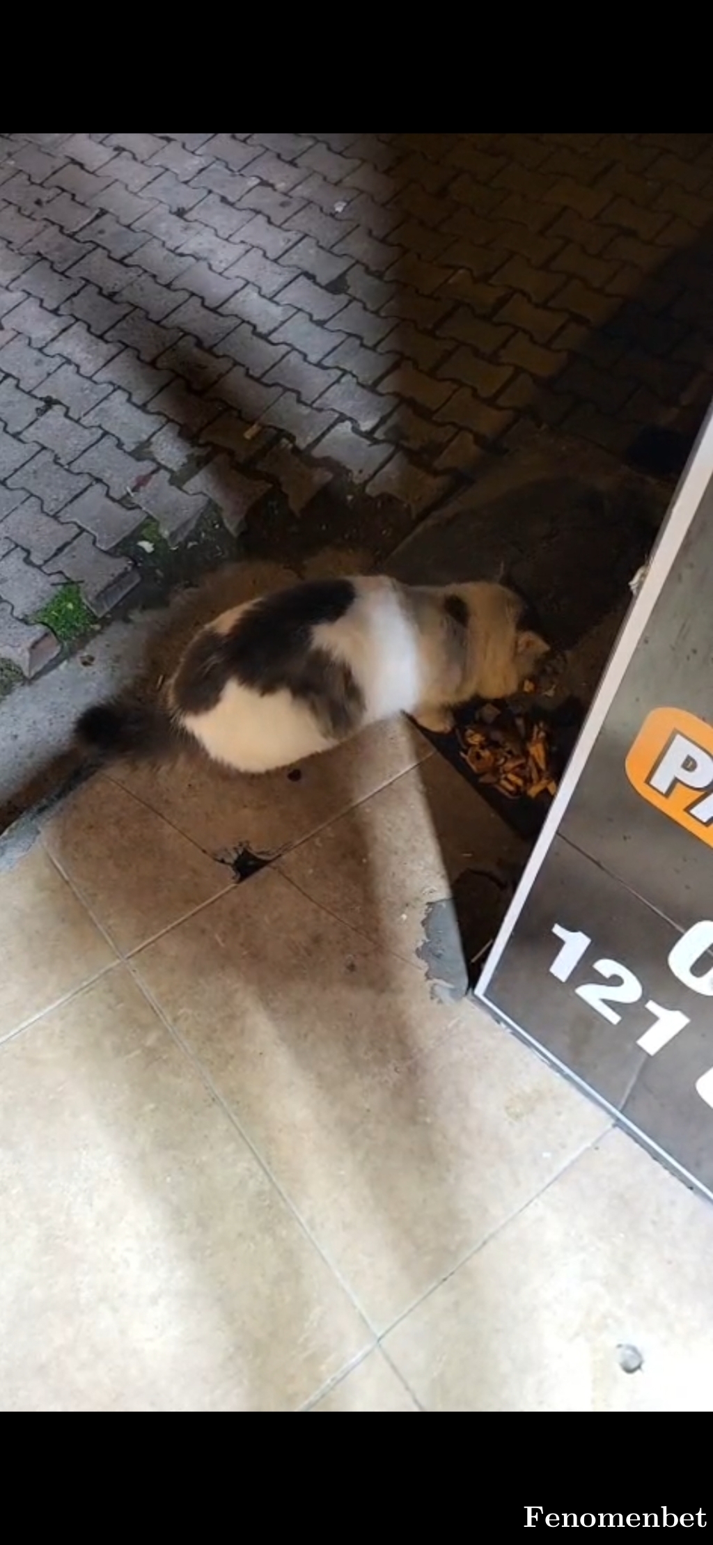ggizem tarafından paylaşıldı