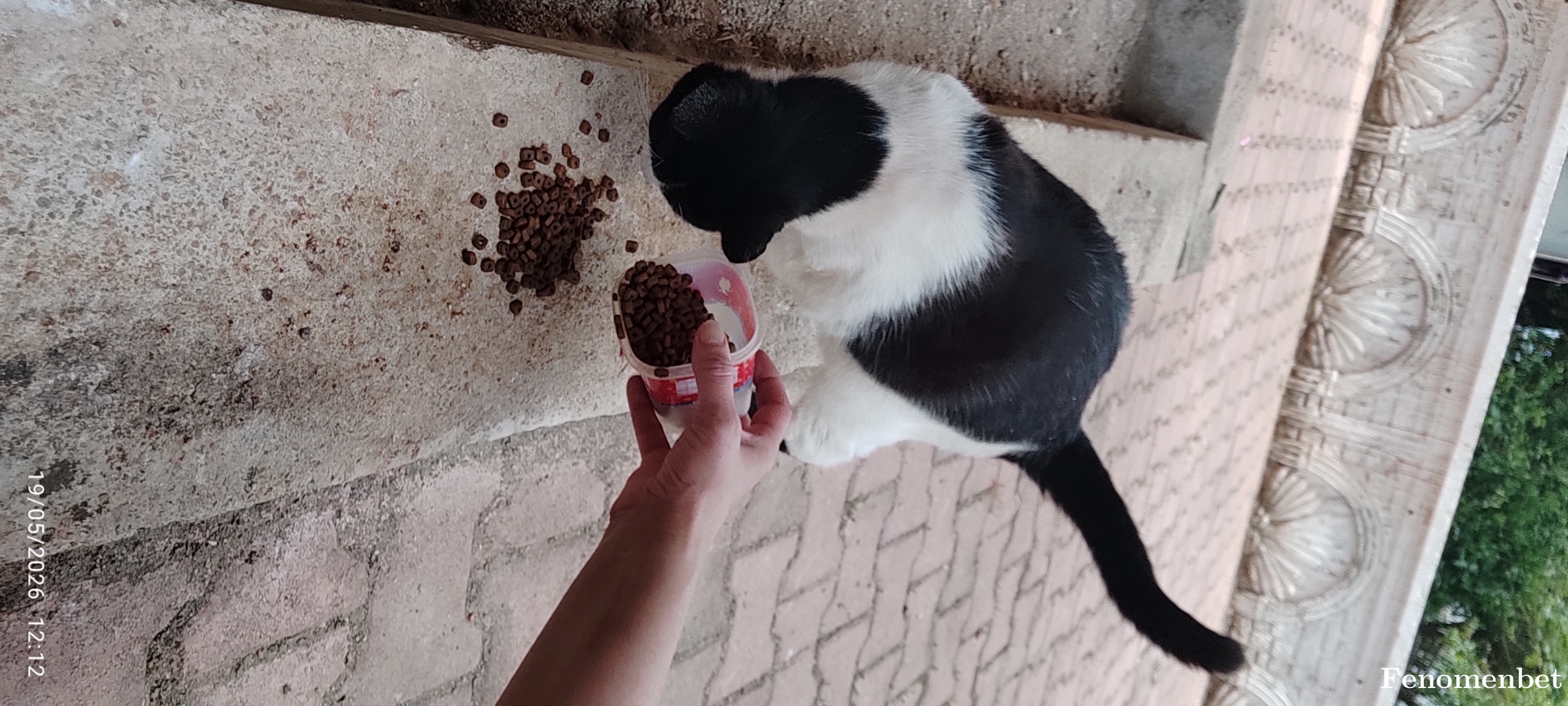 Cilek007 tarafından paylaşıldı