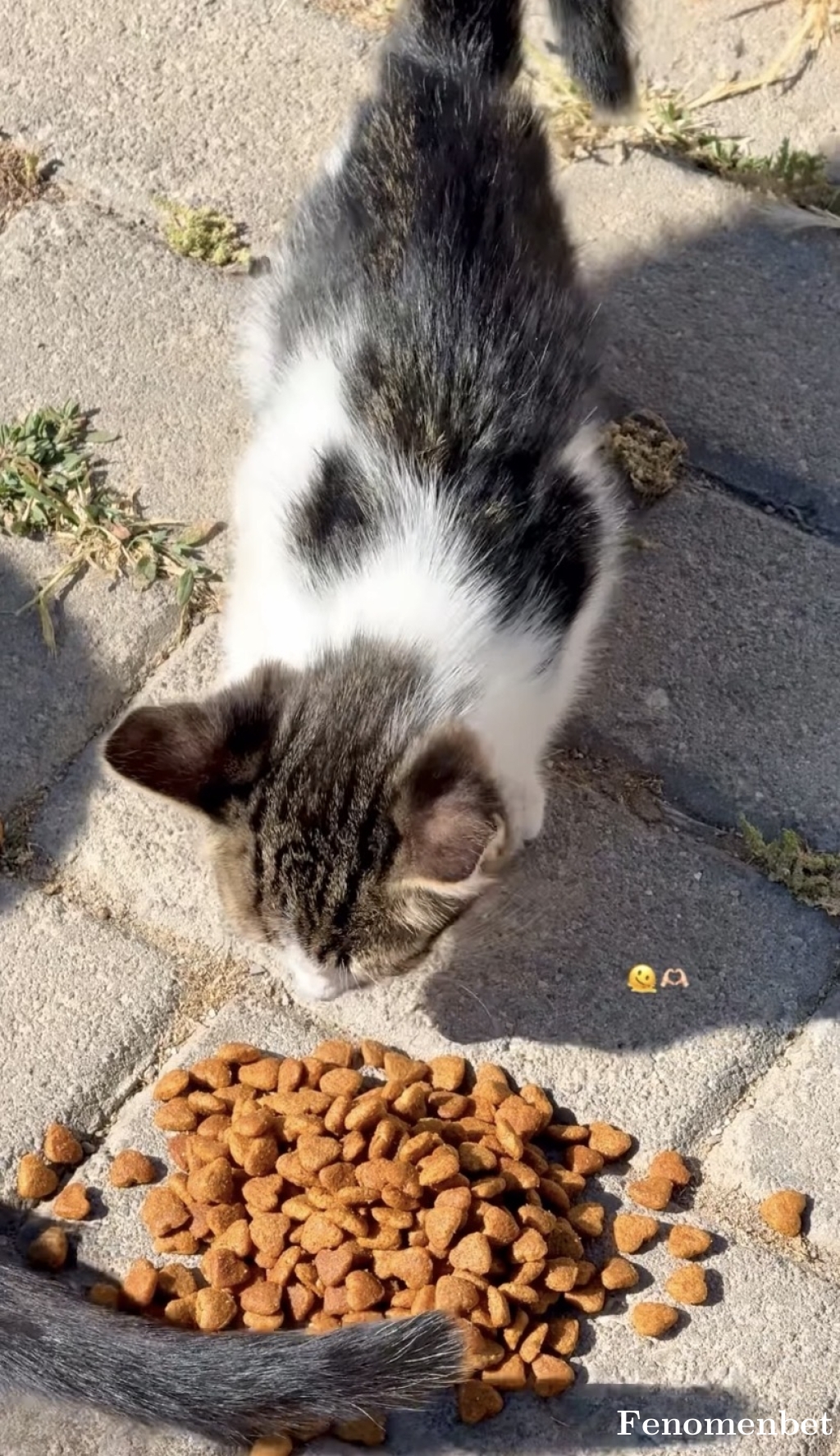 snr3268 tarafından paylaşıldı