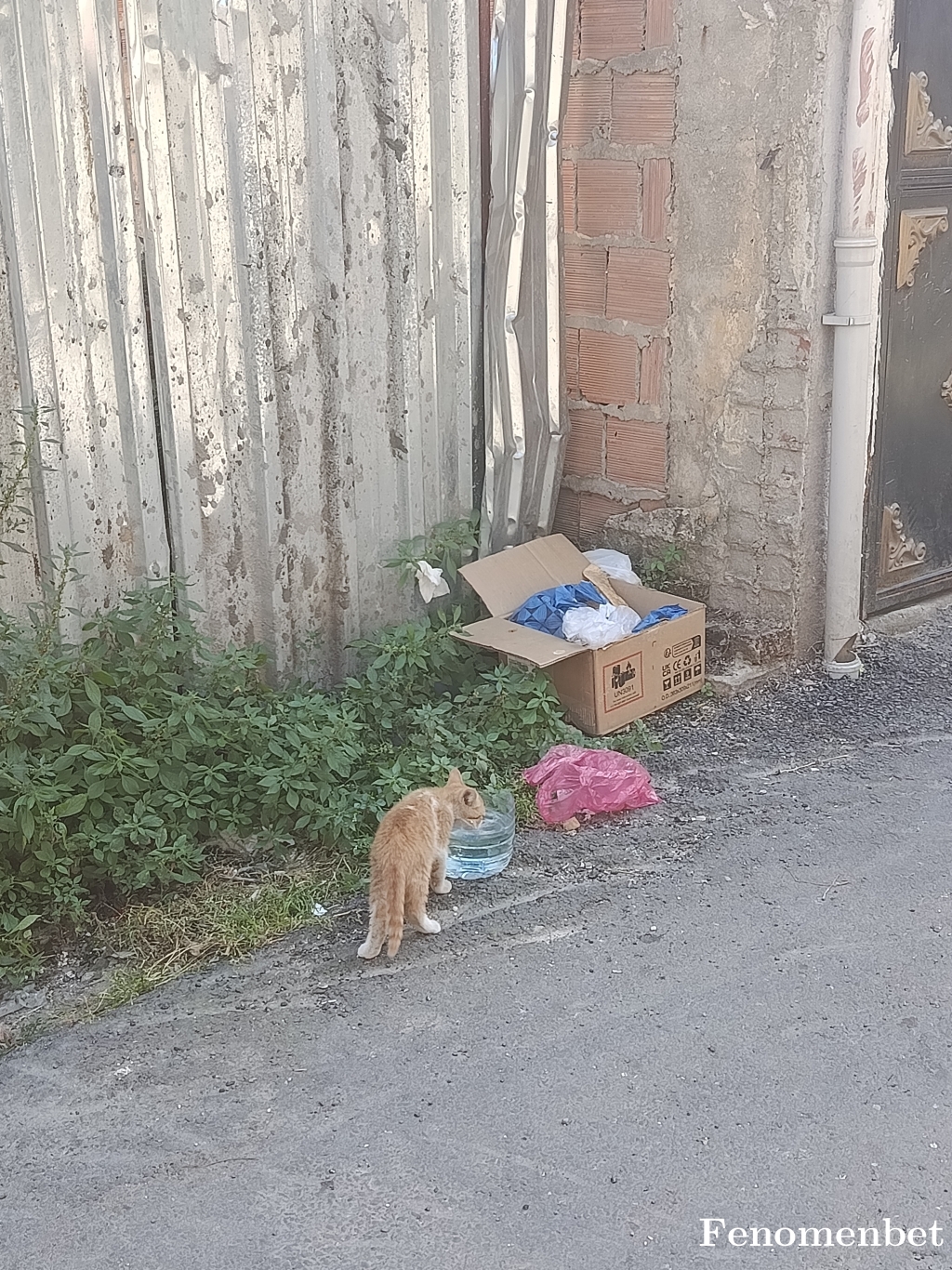 Sametozkannn tarafından paylaşıldı