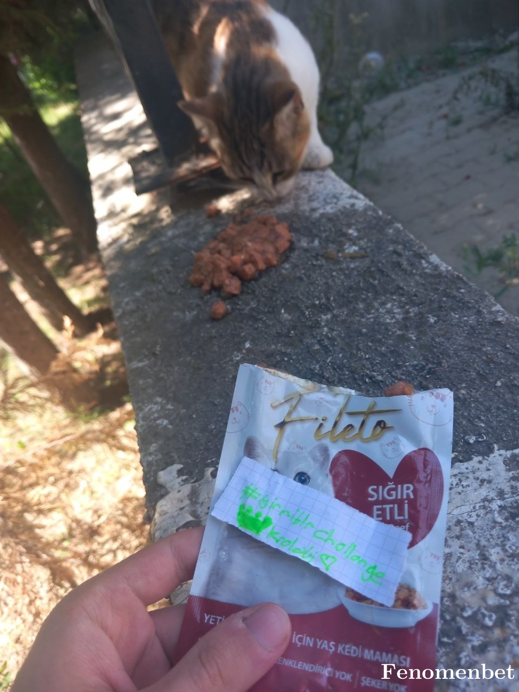 staller1 tarafından paylaşıldı