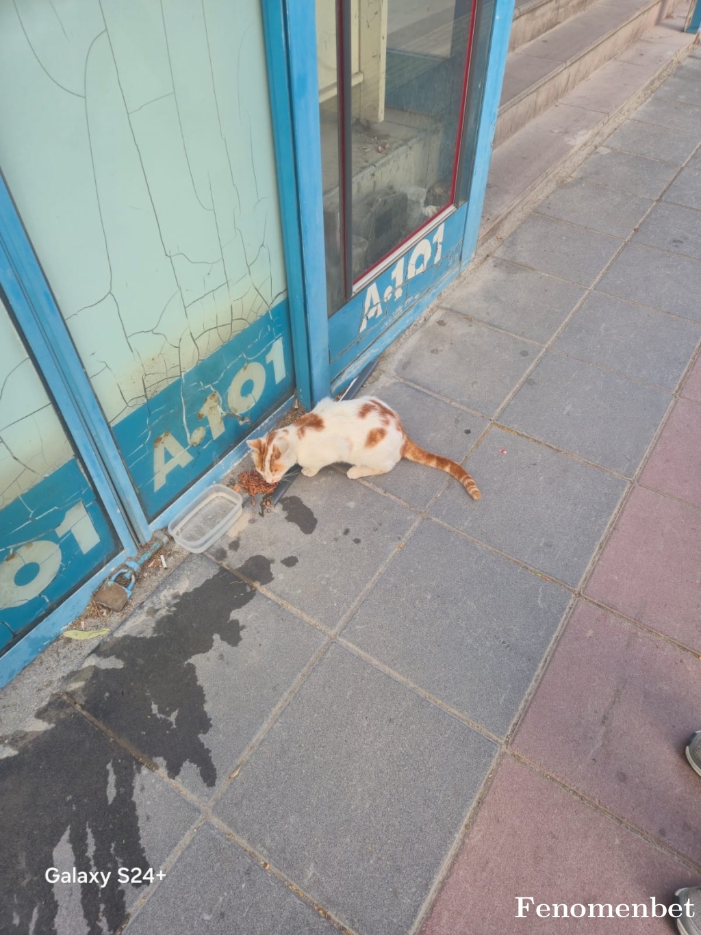 Mlbbgorkem tarafından paylaşıldı