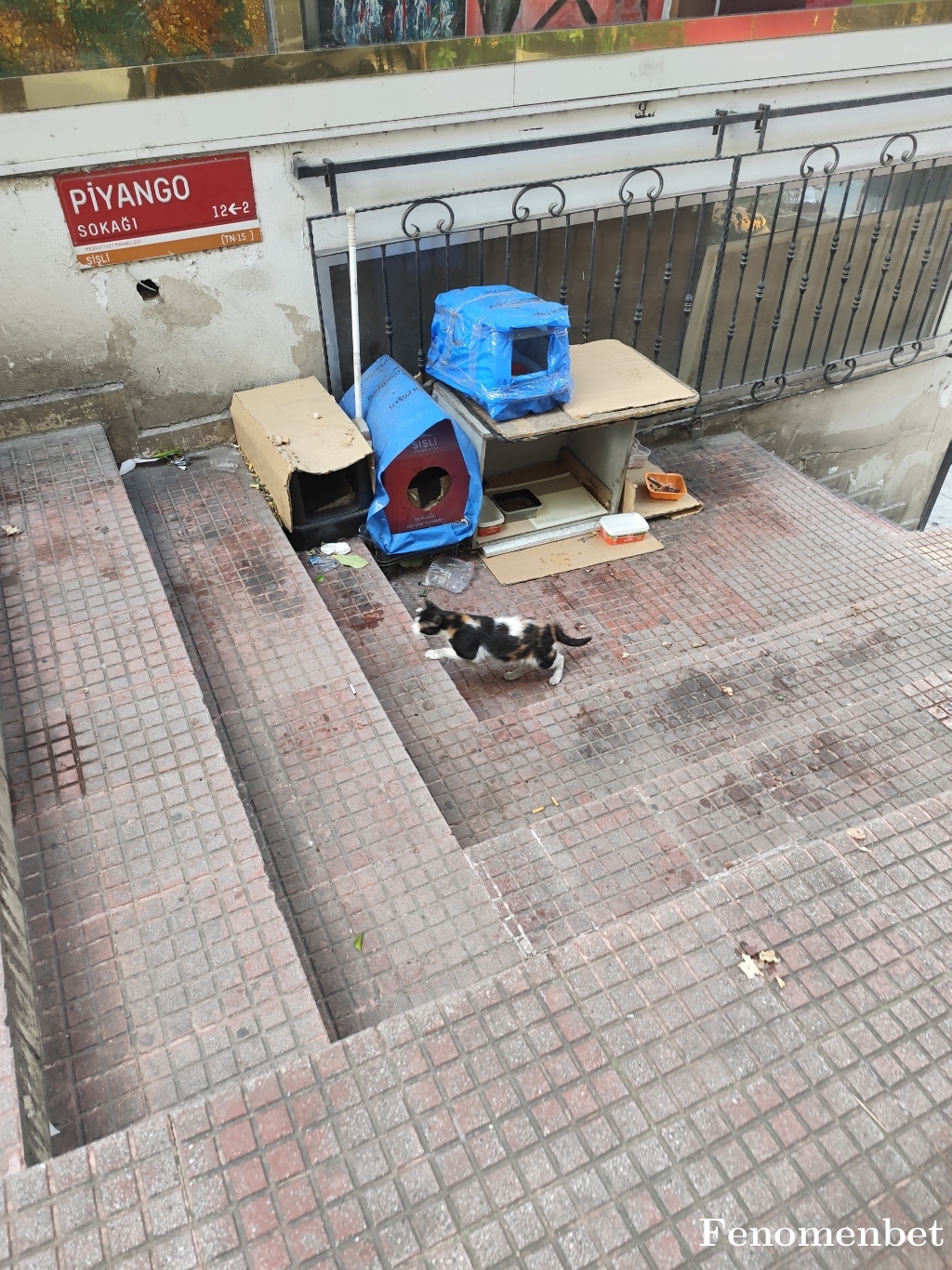 19BJK03  tarafından paylaşıldı