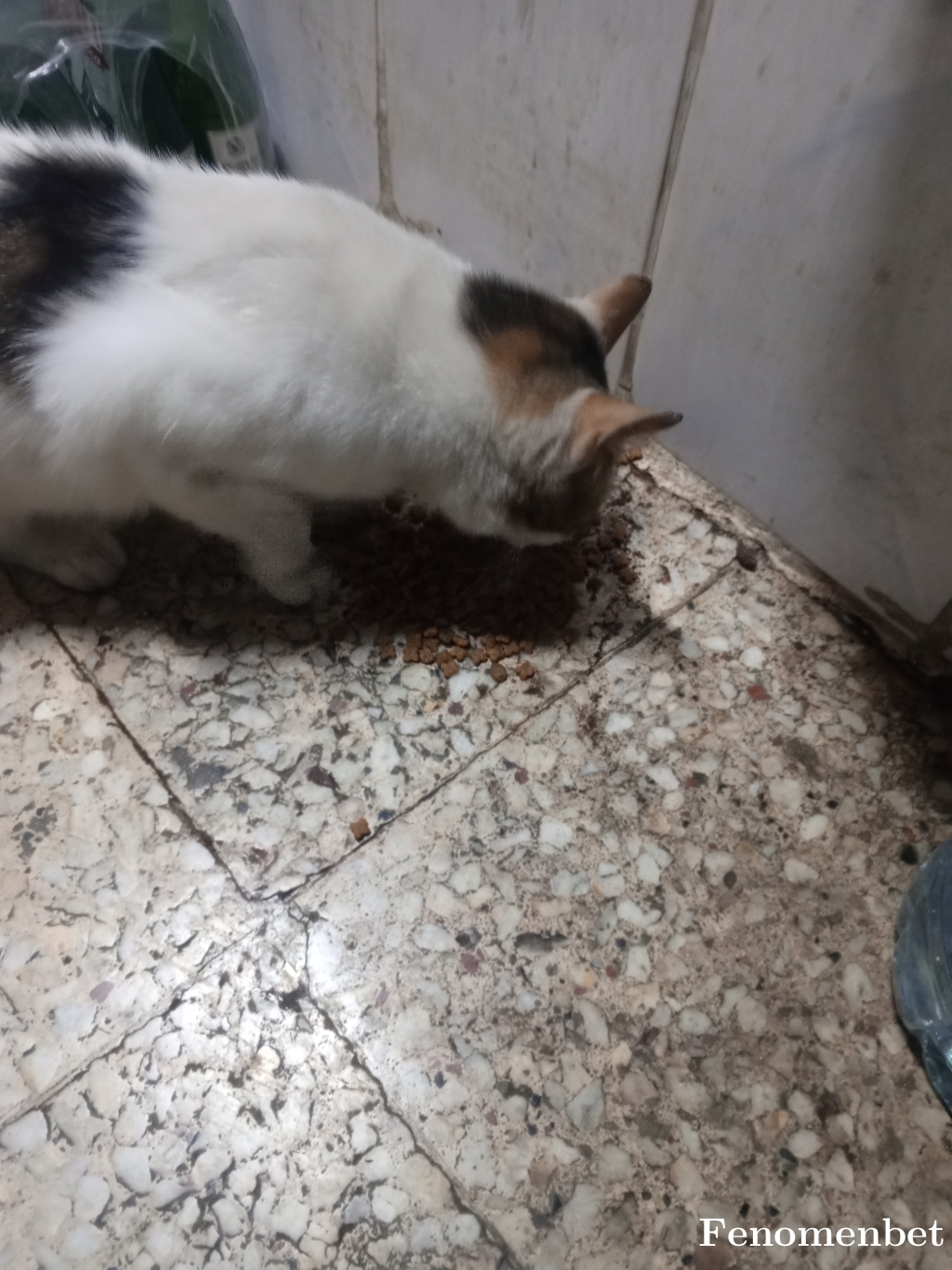 oguzhanhoca  tarafından paylaşıldı