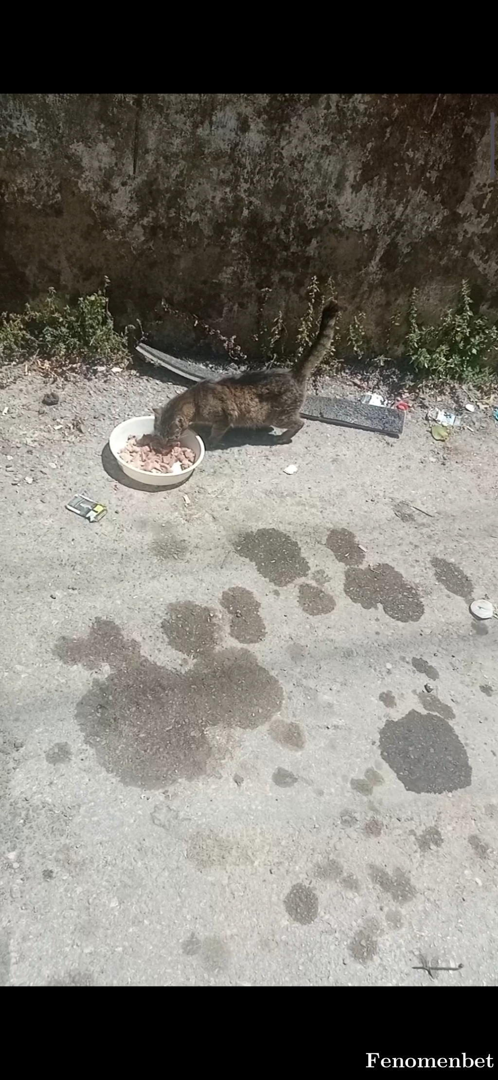 Uzmann35 tarafından paylaşıldı