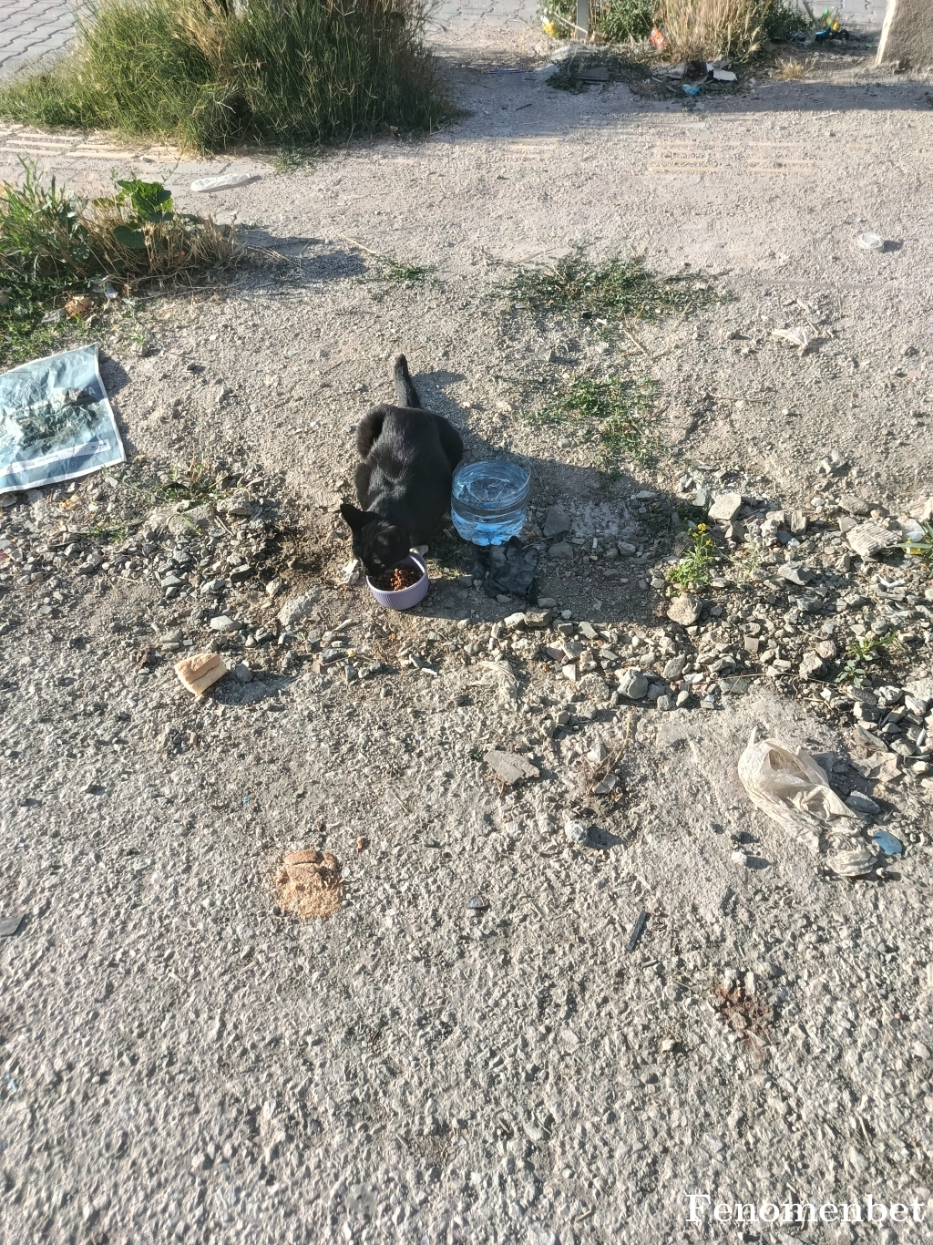 Sedat06  tarafından paylaşıldı