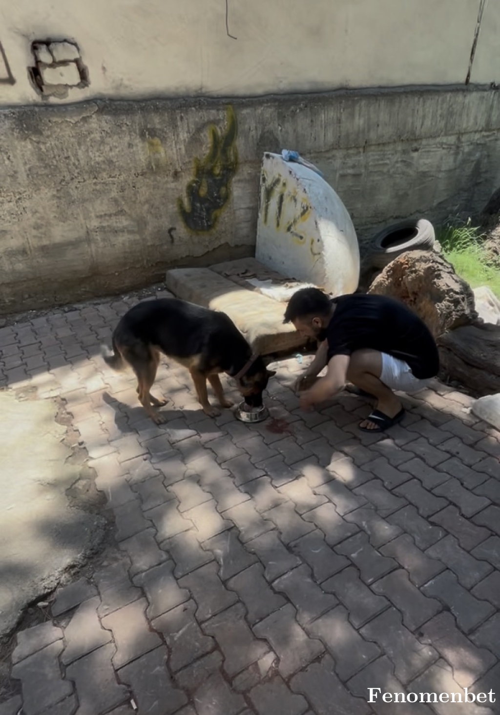Sehmusyl tarafından paylaşıldı