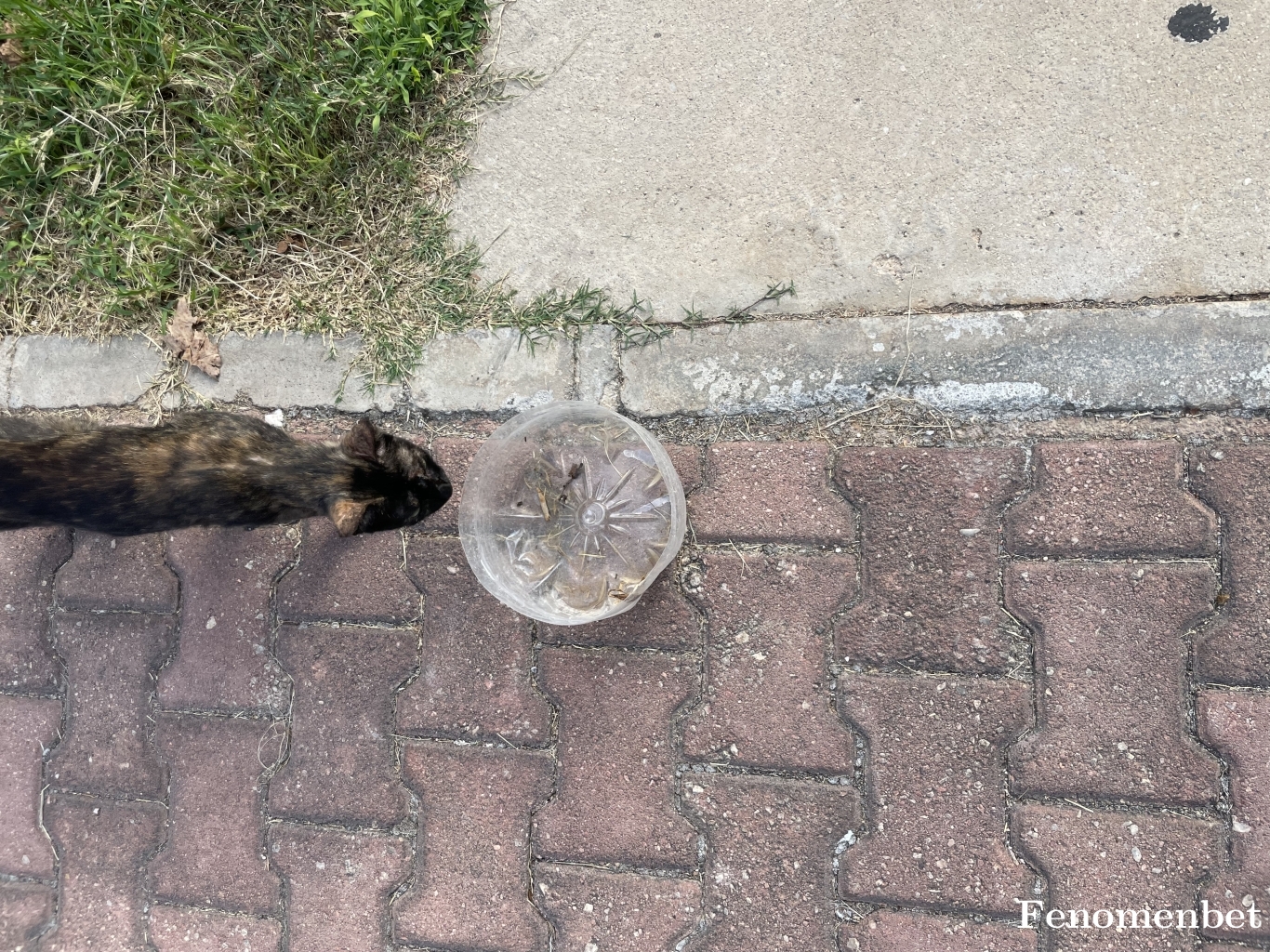 smtagaoglu tarafından paylaşıldı