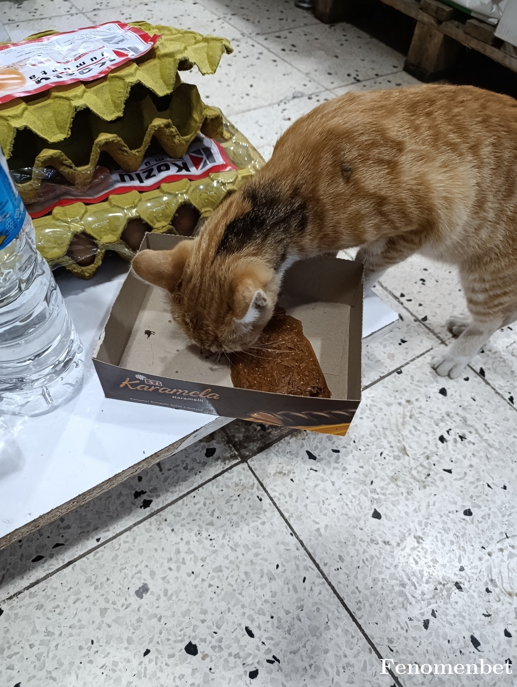 Miracle35 tarafından paylaşıldı