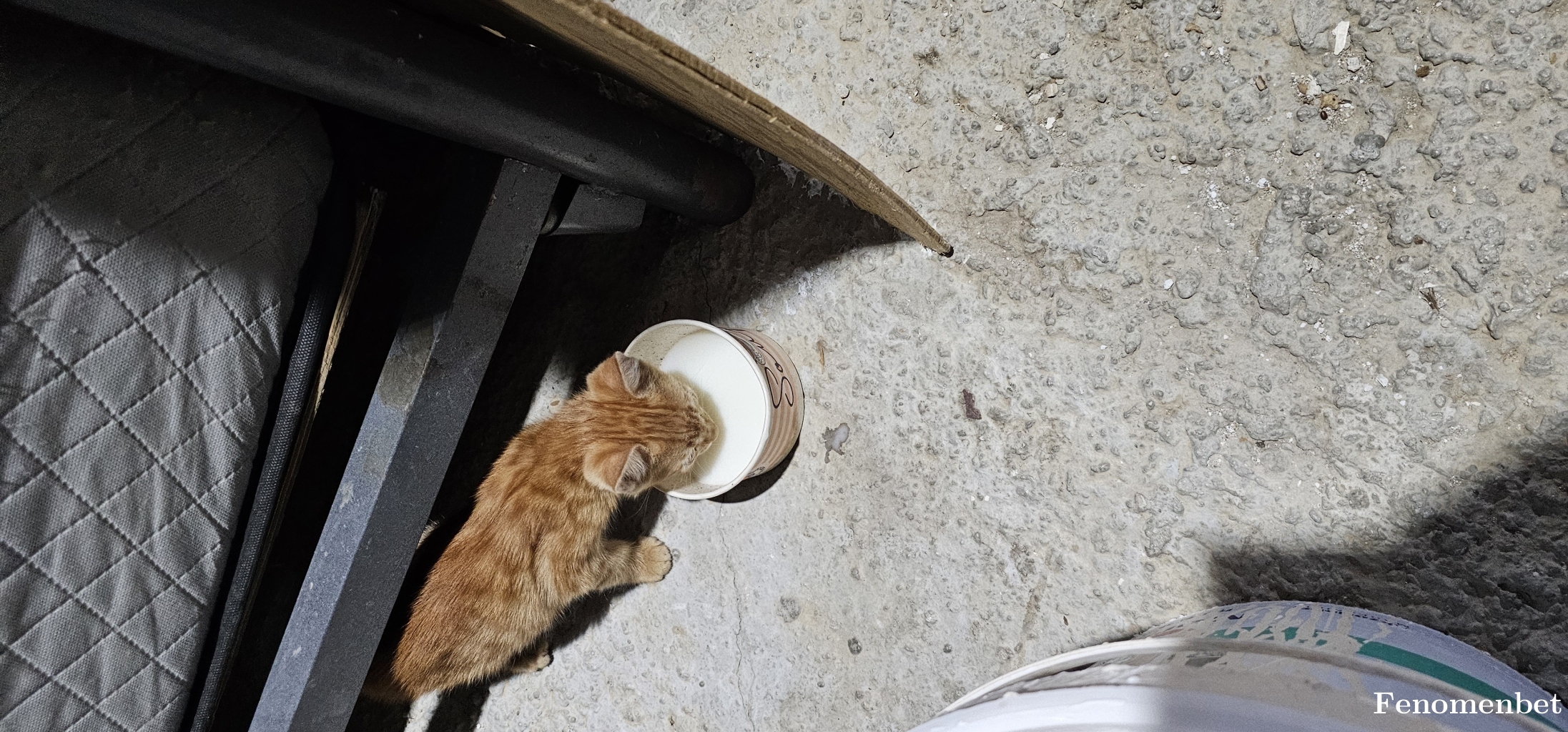 Dyr333 tarafından paylaşıldı