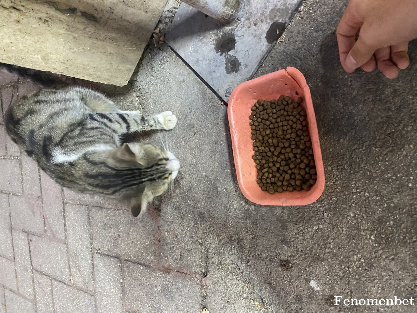 Cenabetfuat tarafından paylaşıldı