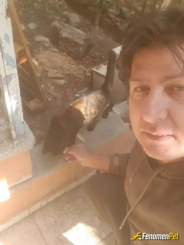 djmetis sokak hayvanını besliyor