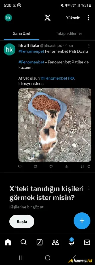 Sokak hayvanı besleme: Mamalar afiyet olsun kedicikler