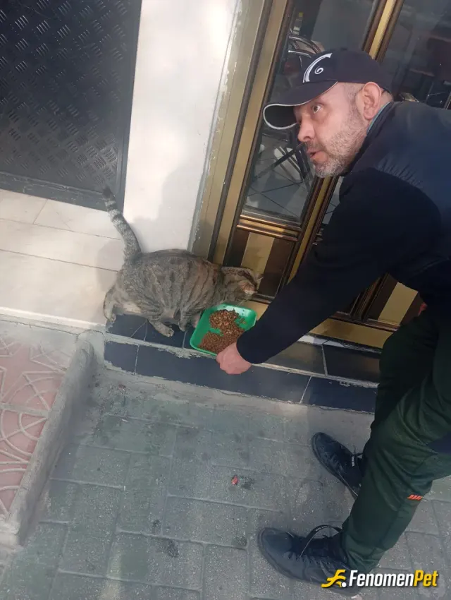 Sokak hayvanı besleme: #Fenomenpet Fenomenbet Pati Dostu
