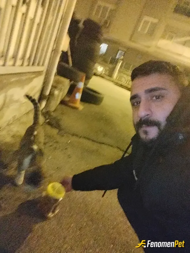 Sokak hayvanı besleme: Karnını doyurdum