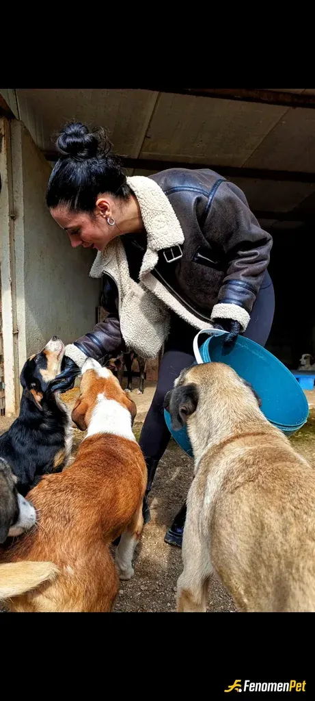 Sokak hayvanı besleme: Barinakta patili dostlara ziyaret♥️