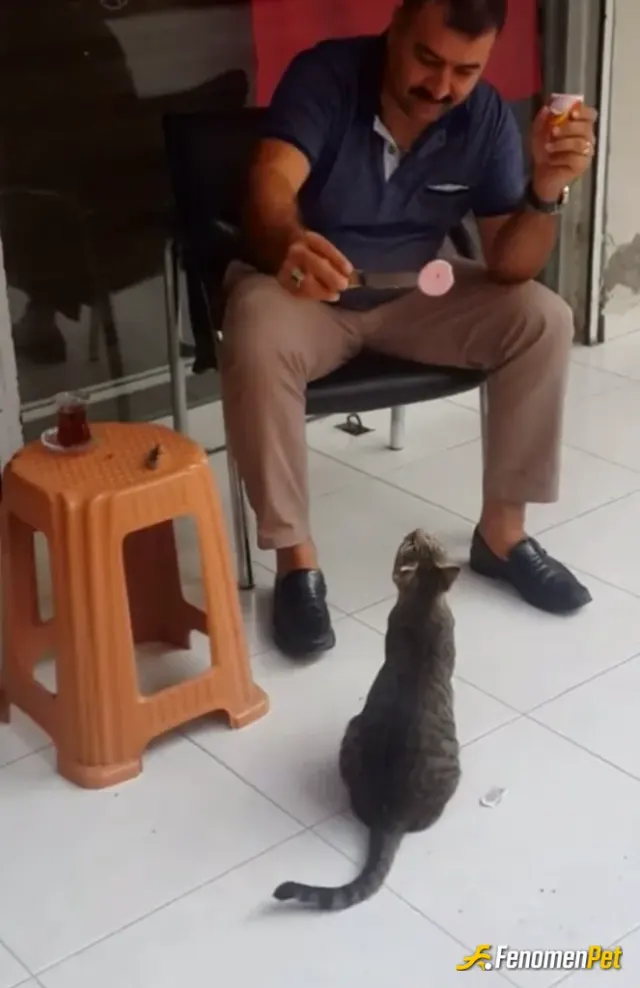 Sokak hayvanı besleme: Onları besleyip korumak sıcak tutmak bizim insani görevimiz