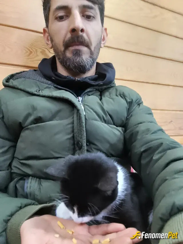 Sokak hayvanı besleme: Elimden geldiğince mama verdim