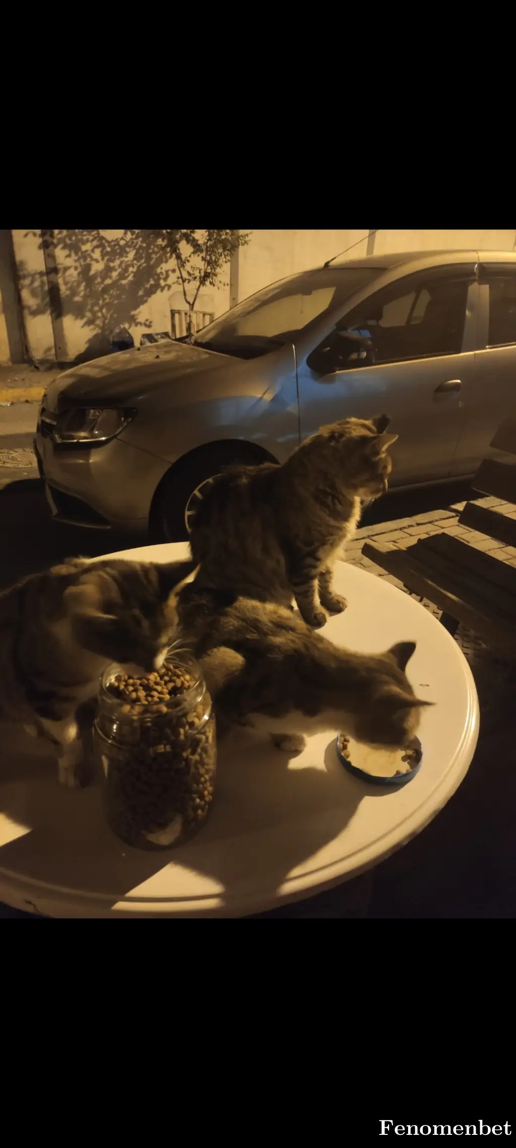 GameVito tarafından paylaşılan fotoğraf