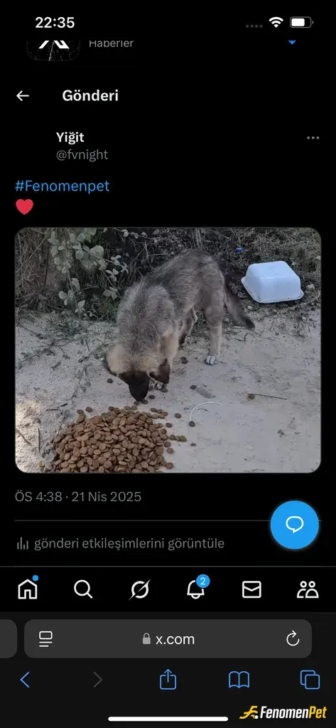 Sokak hayvanı besleme: Köydeki evimizin bahçesine muhtemelen kardeşleriyle gelen yavru köpekler var. Köyde olduğumuz her gün mutlaka