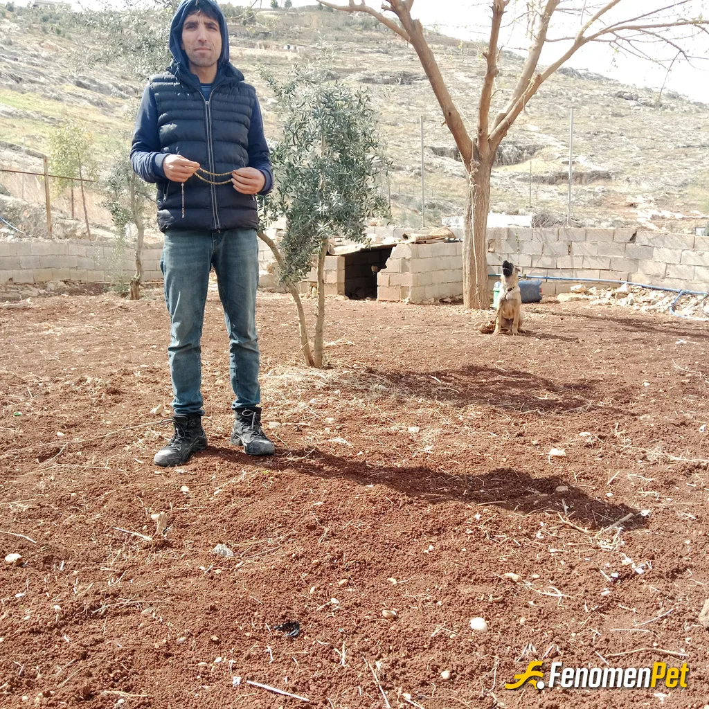 Sokak hayvanı besleme: #Fenomenpet Köpeğim var her zaman yanındayım su veriyorum mama veriyorum bağ evinde