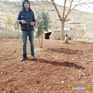 Sokak hayvanı besleme: #Fenomenpet Köpeğim var her zaman yanındayım su veriyorum mama veriyorum bağ evinde