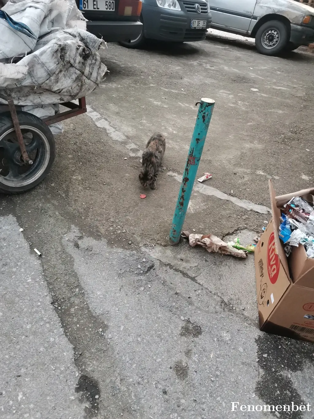 Umutcans tarafından paylaşılan fotoğraf