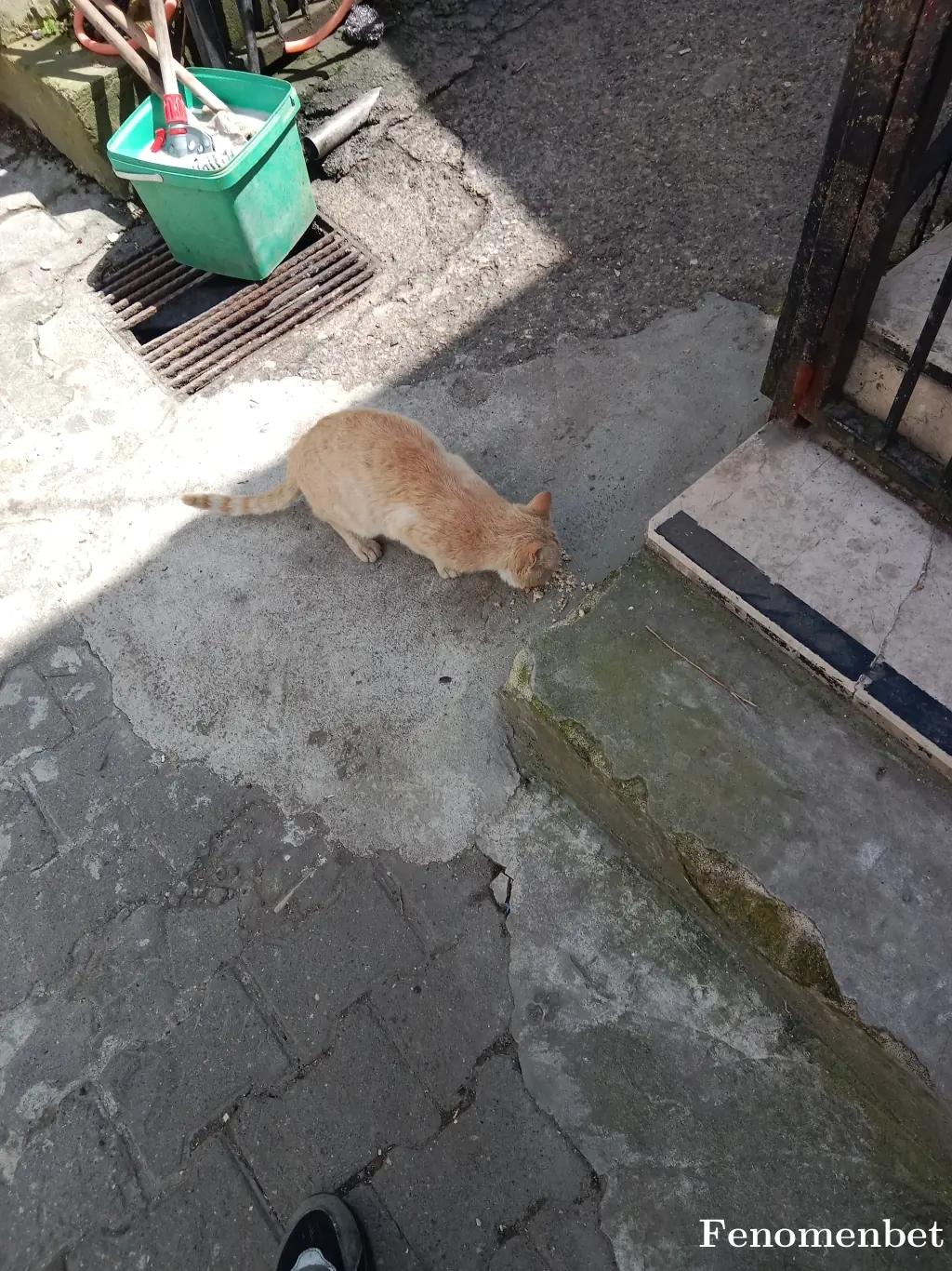 alprchnn tarafından paylaşılan fotoğraf