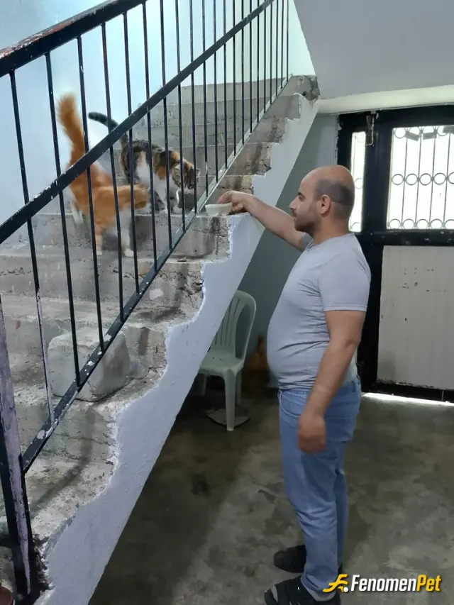 Sokak hayvanı besleme: İnsanları tanıdıkça hayvanları daha çok sever oldum