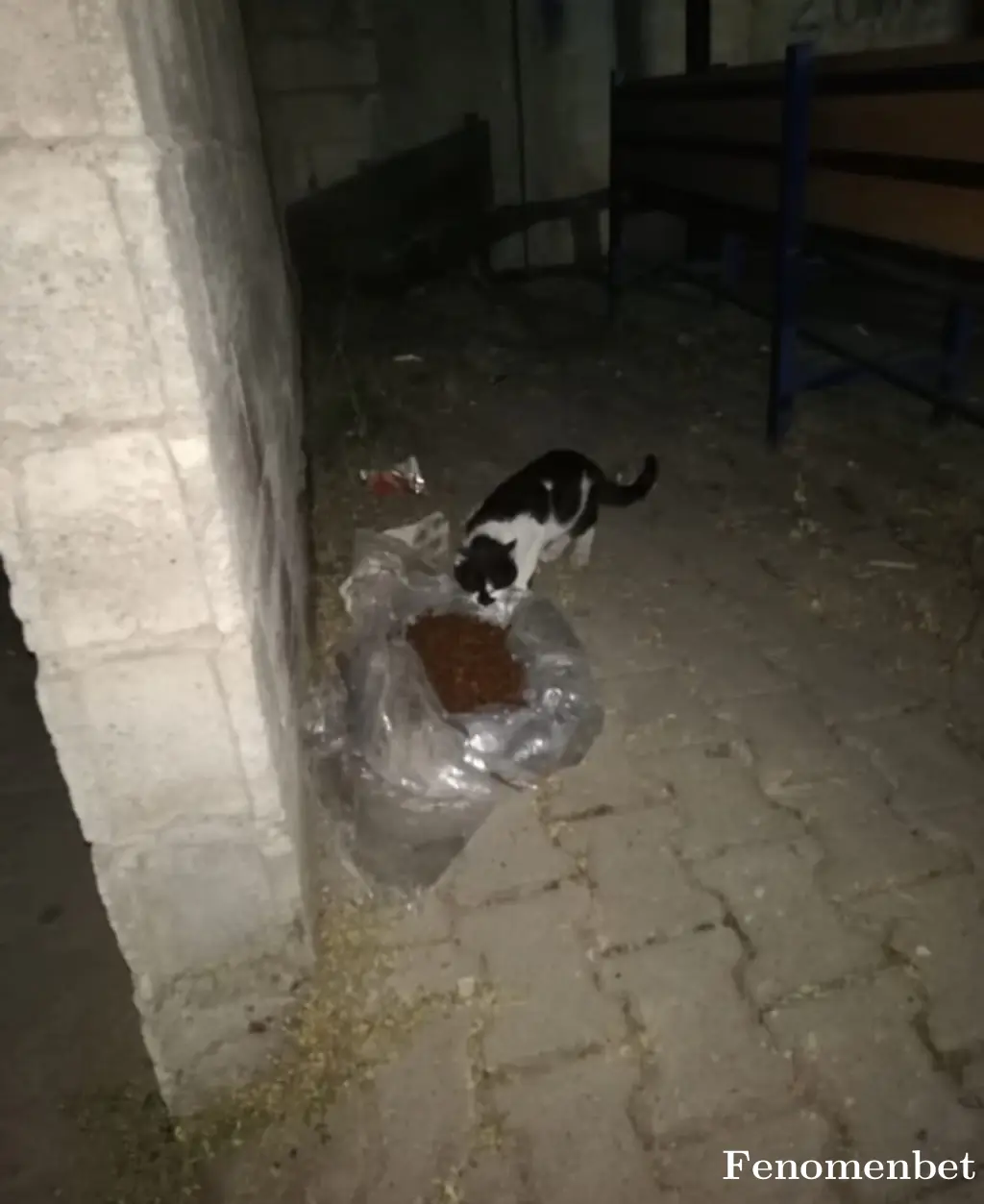 umer56x tarafından paylaşılan fotoğraf
