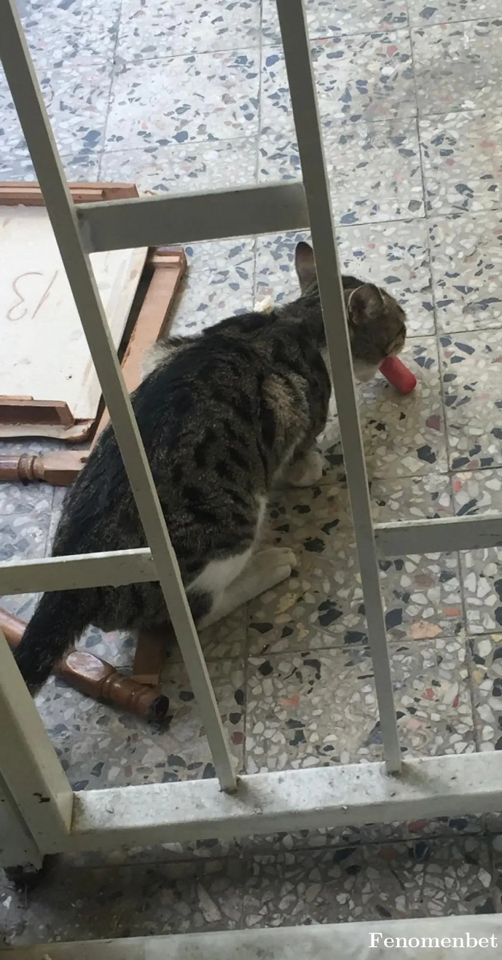 yagmur72 tarafından paylaşılan fotoğraf